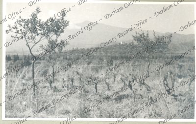 ref: D/DLI 7/762/1(118)