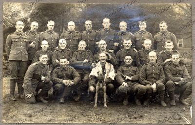 ref: D/DLI 7/797/2(16)