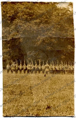 ref: D/DLI 7/805/134