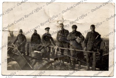 ref: D/DLI 7/805/146