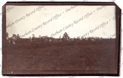 ref: D/DLI 7/805/150