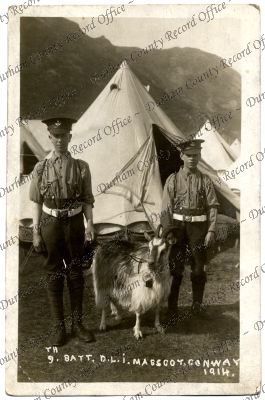 ref: D/DLI 7/805/155