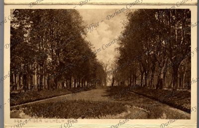 ref: D/DLI 7/806/53(15)