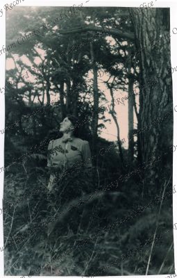 ref: D/DLI 7/829/3(1)