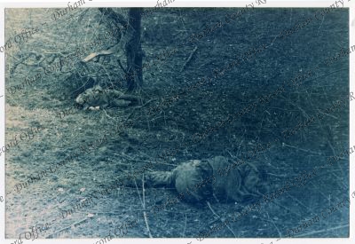 ref: D/DLI 7/829/3(10)