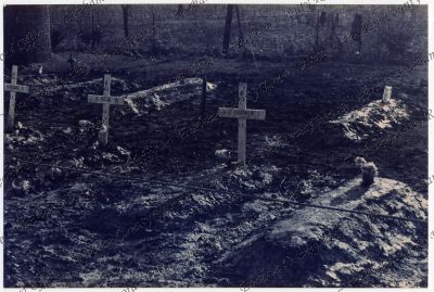 ref: D/DLI 7/829/3(12)