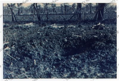 ref: D/DLI 7/829/3(22)