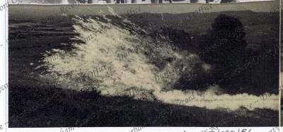 ref: D/DLI 7/829/56(3)