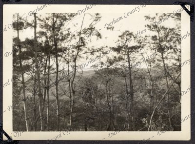 ref: D/DLI 7/850/1(63)