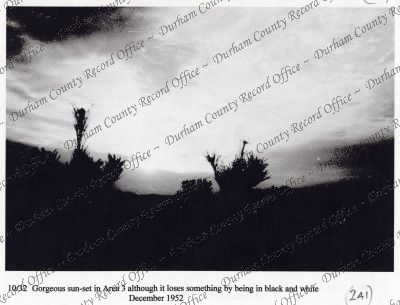 ref: D/DLI 7/869/1(241)