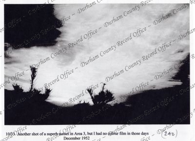 ref: D/DLI 7/869/1(242)