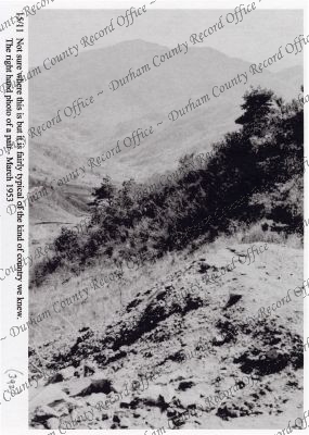 ref: D/DLI 7/869/1(392)