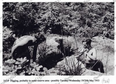 ref: D/DLI 7/869/1(435)