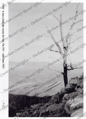 ref: D/DLI 7/869/1(453)