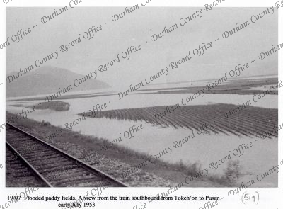 ref: D/DLI 7/869/1(519)