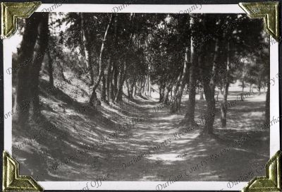 ref: D/DLI 7/882/1(11)