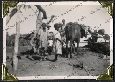 ref: D/DLI 7/882/1(29)