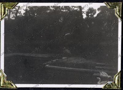 ref: D/DLI 7/882/1(31)