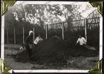 ref: D/DLI 7/882/1(32)