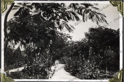 ref: D/DLI 7/882/1(35)