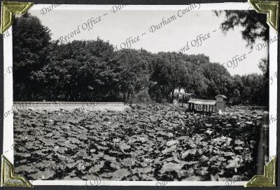 ref: D/DLI 7/882/1(47)