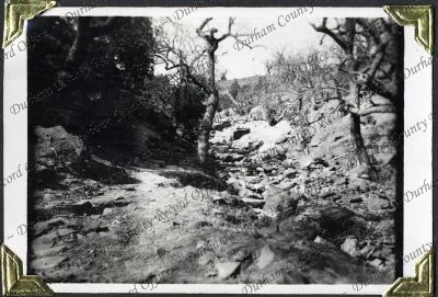 ref: D/DLI 7/882/1(58)