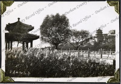 ref: D/DLI 7/882/1(59)