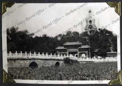 ref: D/DLI 7/882/1(65)