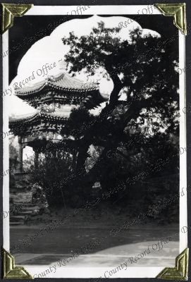 ref: D/DLI 7/882/1(78)