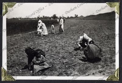 ref: D/DLI 7/882/1(79)