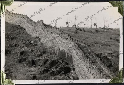 ref: D/DLI 7/882/1(123)