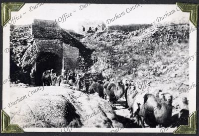 ref: D/DLI 7/882/1(130)