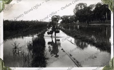 ref: D/DLI 7/882/1(140)