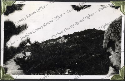 ref: D/DLI 7/882/1(141)