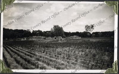 ref: D/DLI 7/882/1(142)