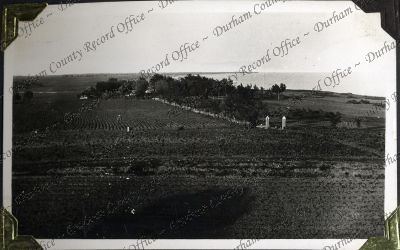 ref: D/DLI 7/882/1(146)