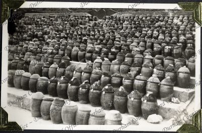 ref: D/DLI 7/882/1(173)