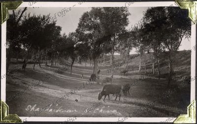 ref: D/DLI 7/882/1(179)