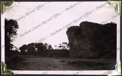 ref: D/DLI 7/882/1(181)