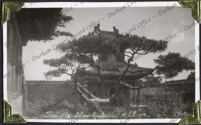 ref: D/DLI 7/882/1(182)