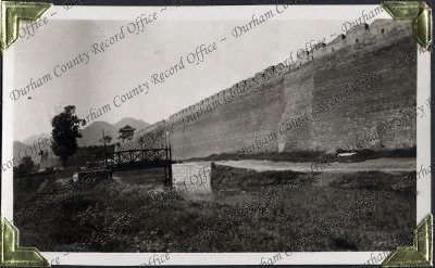 ref: D/DLI 7/882/1(186)