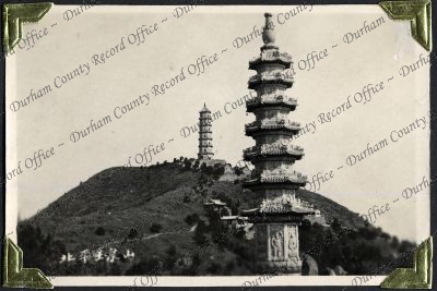 ref: D/DLI 7/882/1(194)