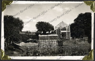 ref: D/DLI 7/882/1(208)