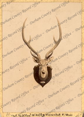 ref: D/DLI 7/898/1(7)