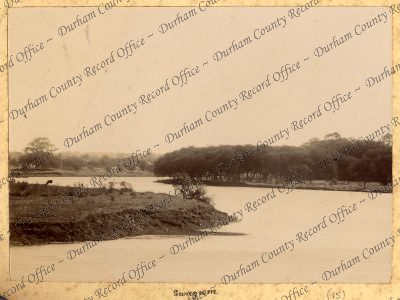 ref: D/DLI 7/898/1(15)