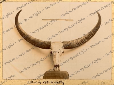 ref: D/DLI 7/898/1(21)