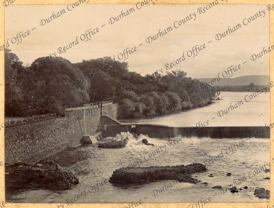 ref: D/DLI 7/898/1(42)