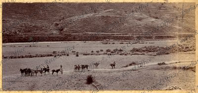 ref: D/DLI 7/898/1(48)