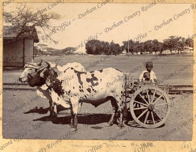 ref: D/DLI 7/898/1(60)