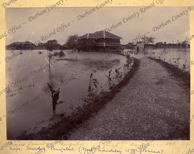 ref: D/DLI 7/898/1(116)